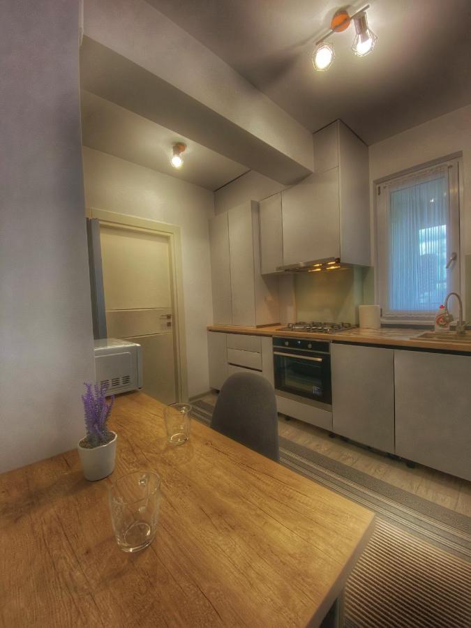 Homey Apartament 2 Rooms Palas Mall Iasi Exterior photo
