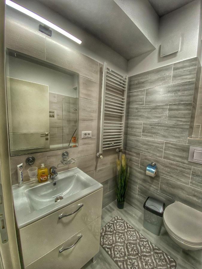 Homey Apartament 2 Rooms Palas Mall Iasi Exterior photo